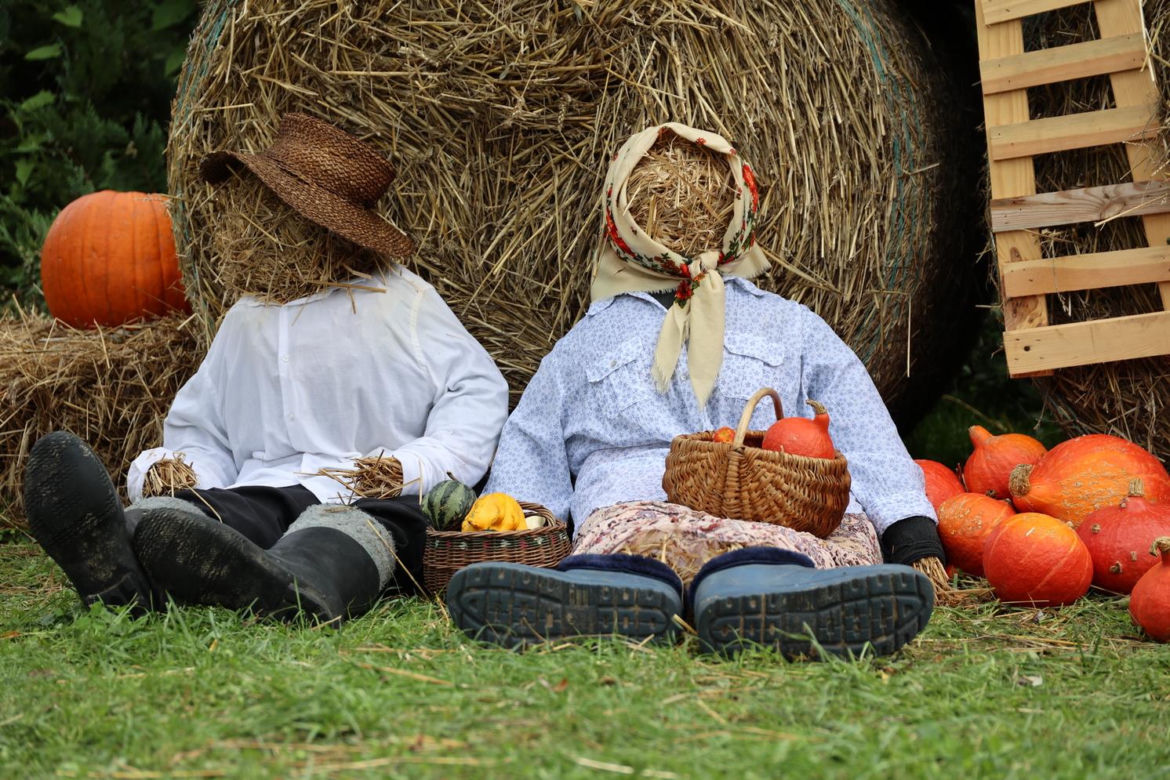 Farma dyń 2023 w Lublinie. Tak było w weekend otwarcia!