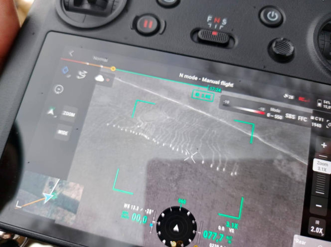 Tragiczna śmierć Emilii K. pod Włodawą. Wciąż więcej pytań niż odpowiedzi