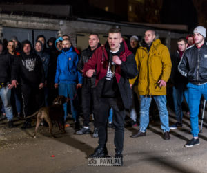SŁD - Bez podziałów