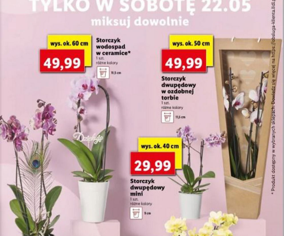 Lidl dzień matki