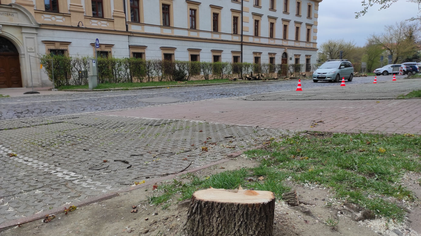 Rozpoczął się remont ulicy Piłsudskiego w Tarnowie