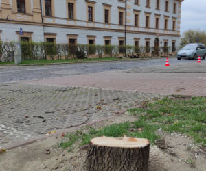Rozpoczął się remont ulicy Piłsudskiego w Tarnowie