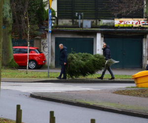 Donald Tusk z zięciem dźwigają gigantyczną choinkę. A za nimi drepcze Kasia z drugą. Wnusie premiera jak księżniczki