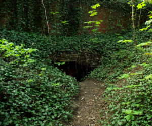 Dawny fort na Cmentarzu Centralnym w Szczecinie