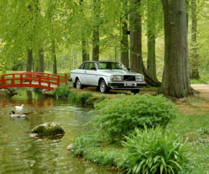 Volvo 262 Coupe