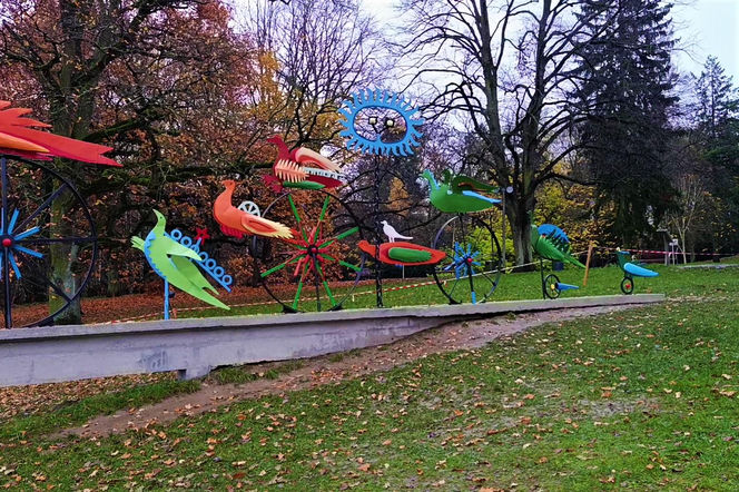 "Ogniste Ptaki" w Parku Kasprowicza w Szczecinie