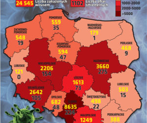 Koronawirus: Zobacz wykresy i prognozy – stan na 03.06.2020, godz. 10:00