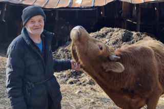 Rolnik z Podlasia bronił swojego bydła. Gdyby nie brat, to by mnie tam zatłukli