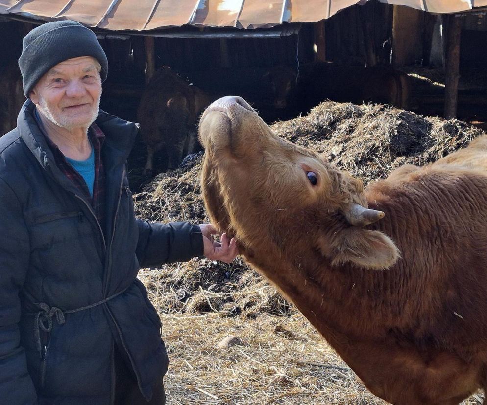 Brutalny napad na rolnika. Złodzieje bydła skatowali 72-latka
