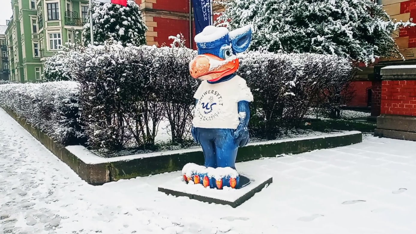 Pierwszy śnieg w Szczecinie