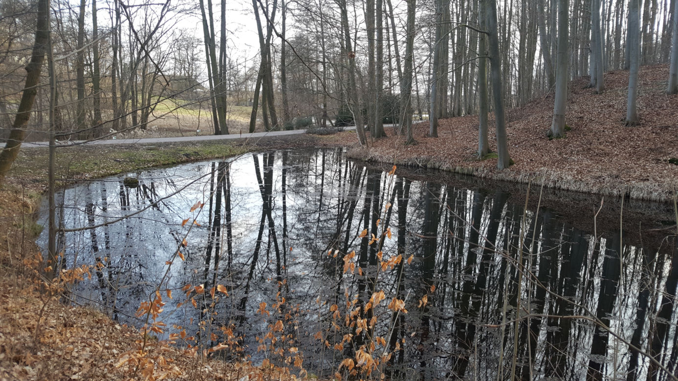 Wiosna w Myślęcinku