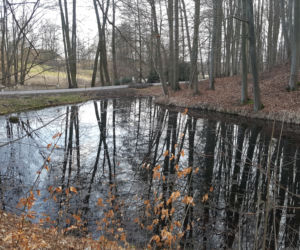 Wiosna w Myślęcinku