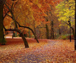 Park Oruński.