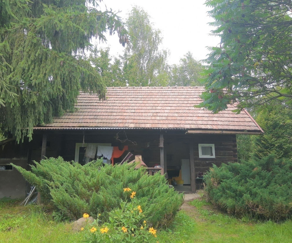 Leśne przedszkole - zbiórka piniędzy