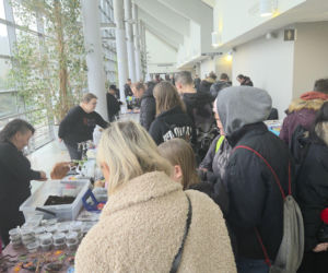 Węże, pająki i dreszczyk emocji w Bydgoszczy! Dragon Expo zachwyciło odwiedzających