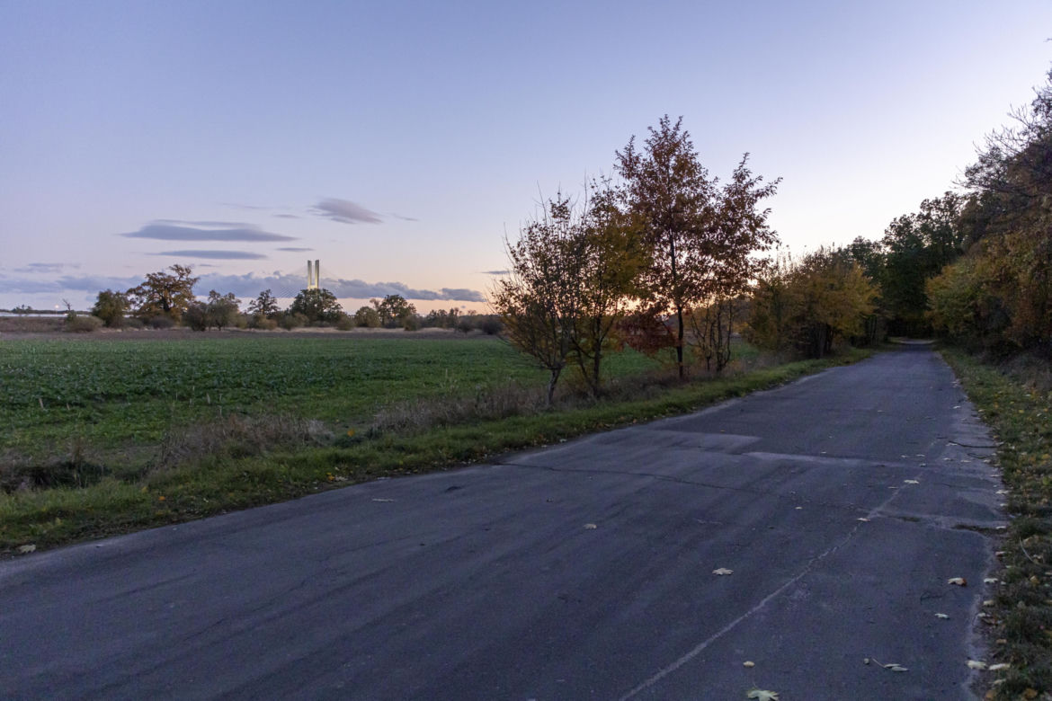 Pojechali na spacer z psem. Wszyscy nie żyją
