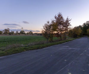 Pojechali na spacer z psem. Wszyscy nie żyją