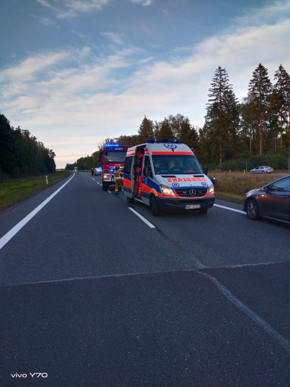 Poważny wypadek na S22. Kobieta i dziecko w szpitalu [ZDJĘCIA]
