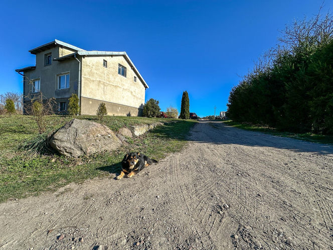 Horror koło Ostródy. Zwierzęta konały bez światła, wody i jedzenia