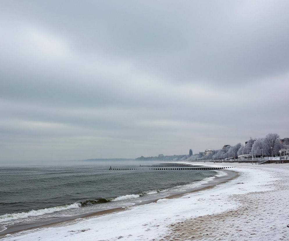Archiwum X w akcji! Śledztwo w Sopocie w sprawie niewyjaśnionego zabójstwa sprzed lat