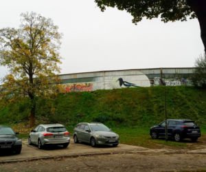 Sroka na szczecińskim torze kolarskim
