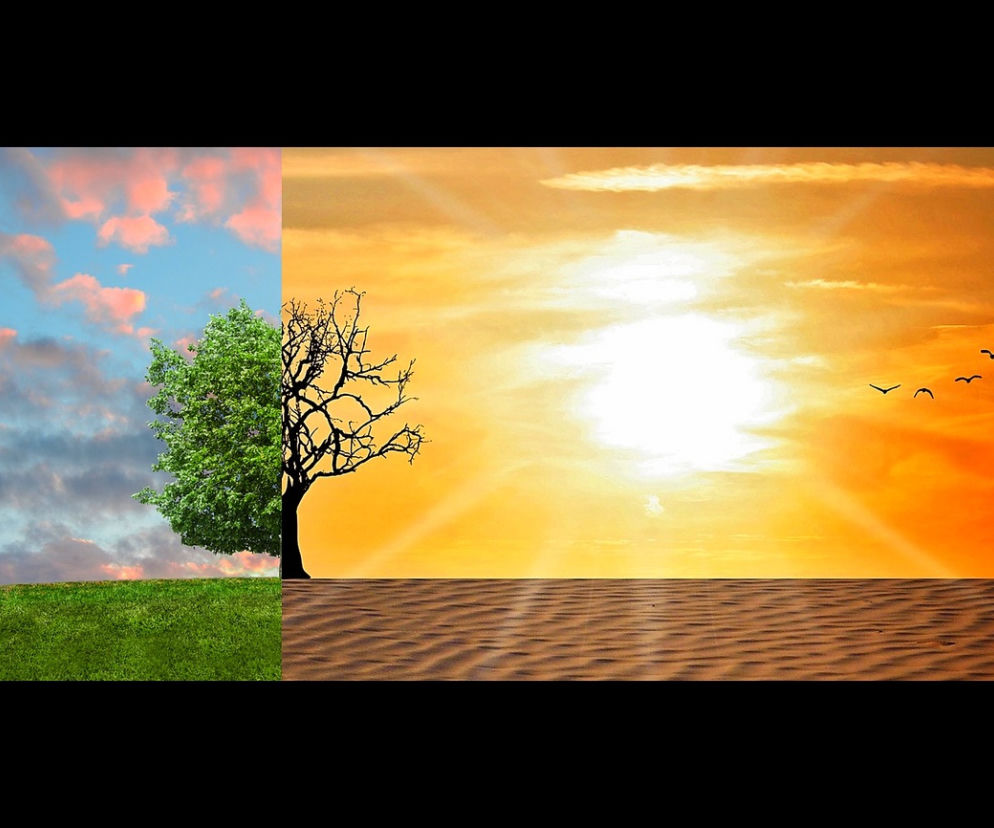Ludzie Kultury i sztuki będą edukować  w temacie zmian klimatu w miastach.