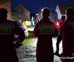 Alarm na Dolnym Śląsku. Nowe ustalenia po poszukiwaniach tajemniczego drapieżnika