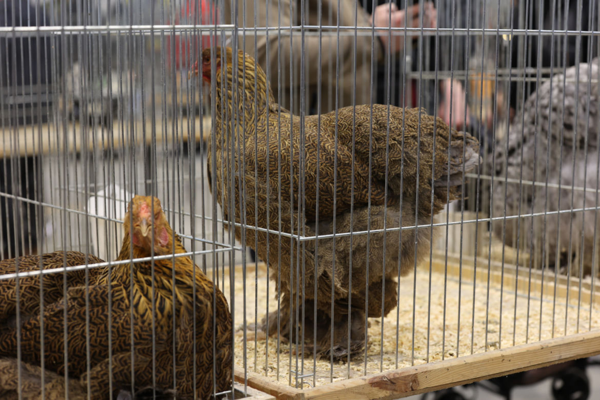 ZooPark 2023 w Lublinie przyciągnął tłumy!