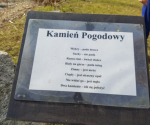Natura budzi się do życia! W Ogrodzie Botanicznym UKW czuć już wiosnę! [ZDJĘCIA]