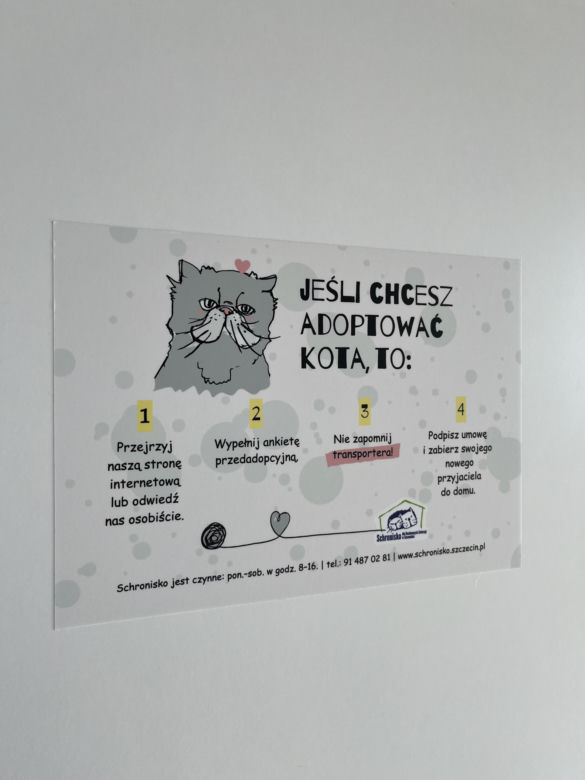 Schronisko dla Bezdomnych Zwierząt w Szczecinie