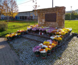 Chryzantemy ozdobiły Starachowice
