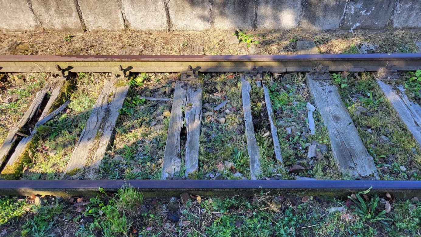 Sokołów Podlaski - Siedlce. Na trasę wrócą pociągi.