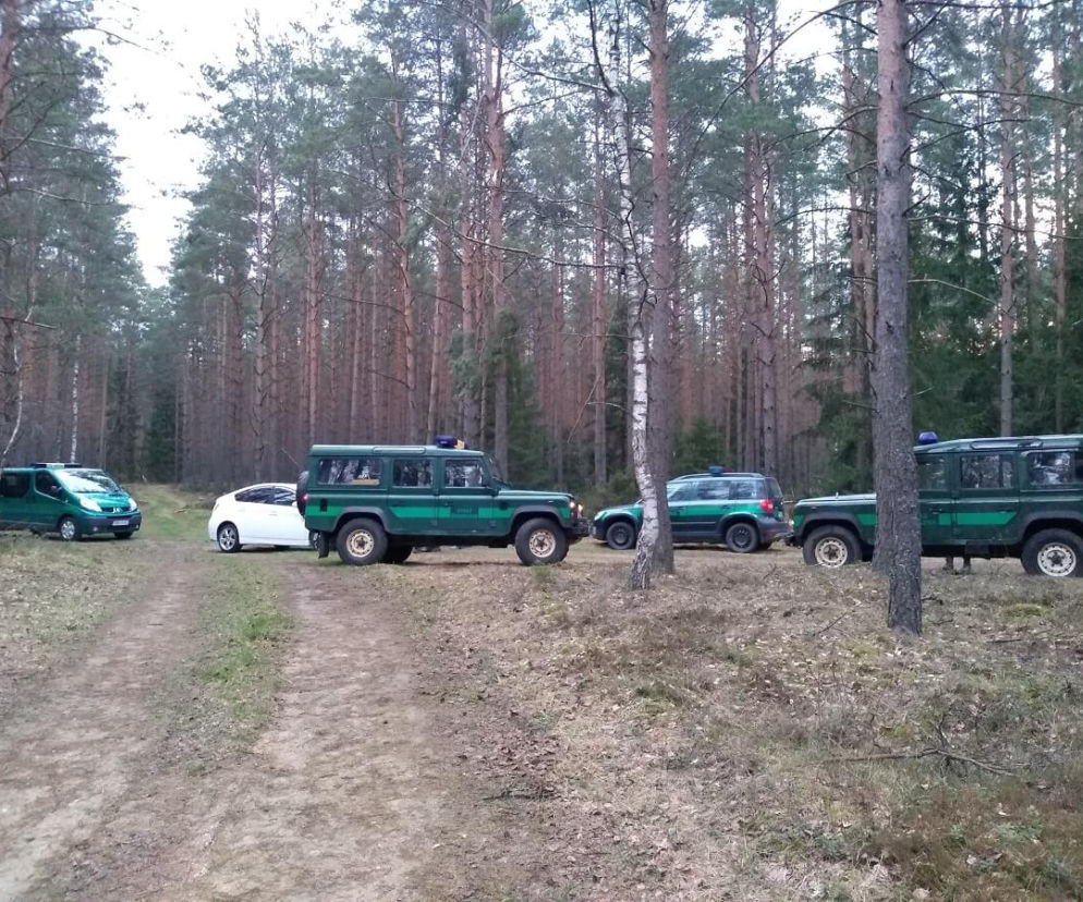 Nielegalny proceder na granicy Polski z Białorusią. Zatrzymano organizatorów