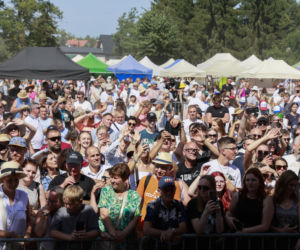 Tłumy ruszyły na koncert TVP! Markowska, Blanka i Bednarek porwali publiczność