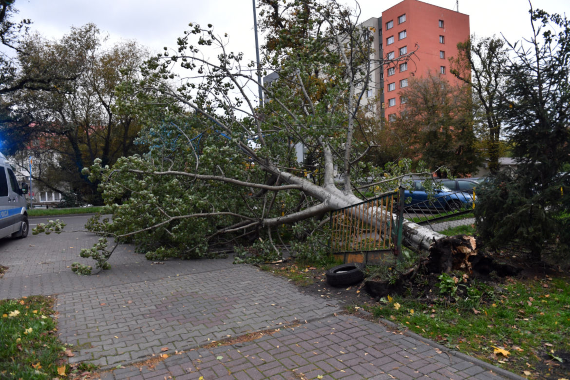 Skutki wichury w Szczecinie