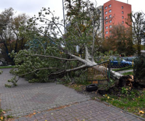 Skutki wichury w Szczecinie