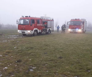 Pies dryfował na krze. Tragedia na jeziorze Lednica