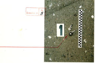 Policyjne Archirum X bada okoliczności zabójstwa Anny Prus