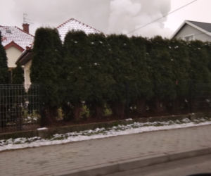 Pożar przy ul. Słocińskiej Rzeszowie. Na miejscu cztery zastępy straży [ZDJĘCIA]