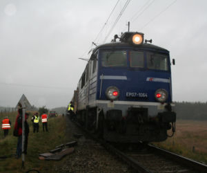 Świdwin. Byk wykoleił pociąg