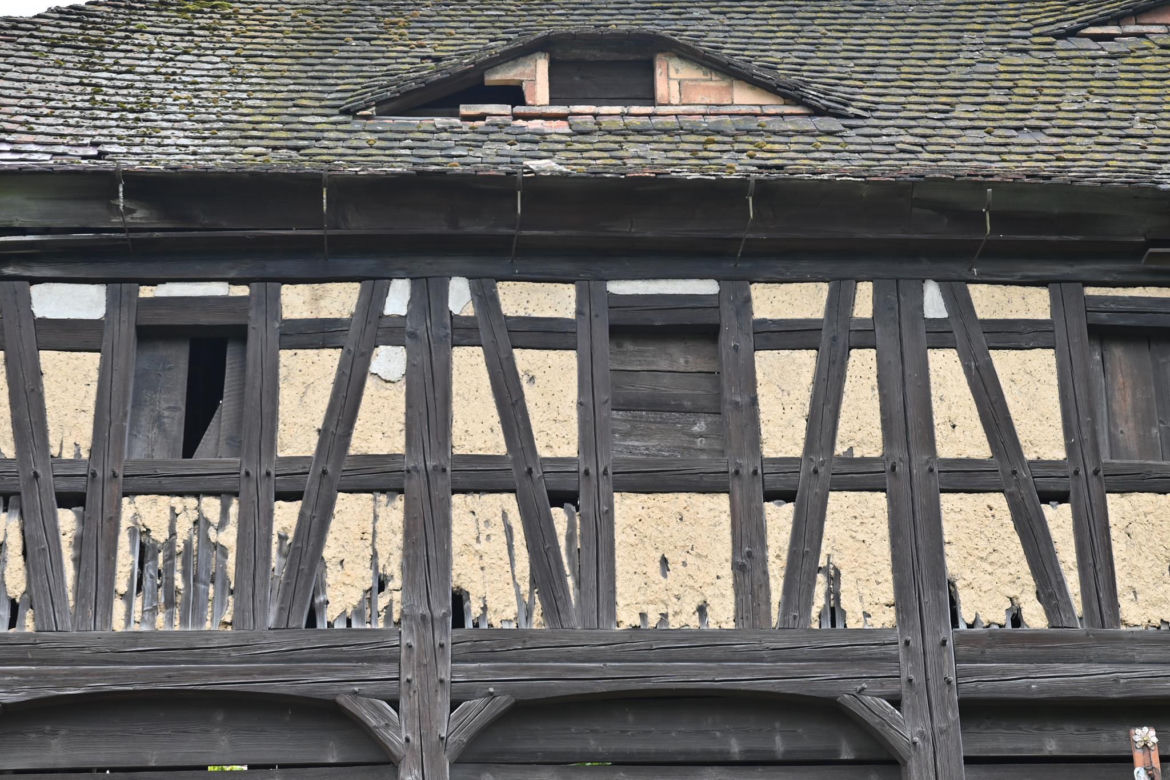 Działoszyn k/Bogatyni - Torhaus, ruinersi należą do grupy ratunkowej tego unikalnego budynku