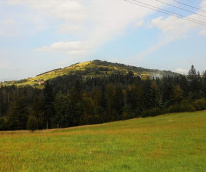 Ochodzita