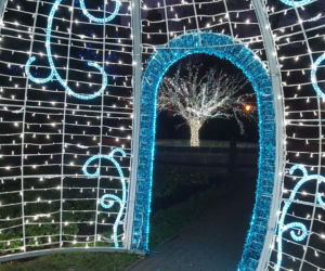 Świąteczna iluminacja Tarnowa