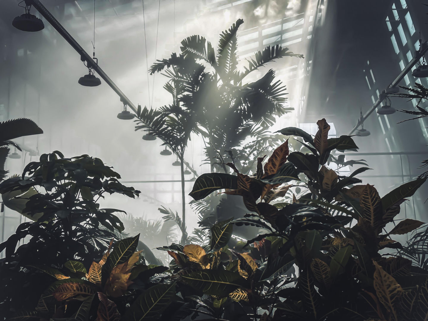 Egzotarium w Sosnowcu