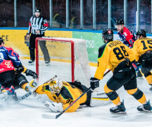 GKS Katowice - KH Energa Toruń, zdjęcia z Satelity