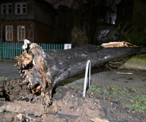 Orkan Nadia sieje spustoszenie
