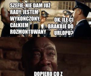 Memy o pracy