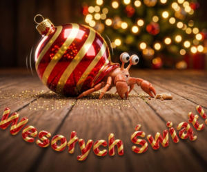 Bożonarodzeniowe życzenia firmowe 2025 - eleganckie teksty dla partnerów biznesowych