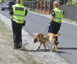 Do poszukiwań Dawidka zostały włączone specjalne psy niemieckiej policji