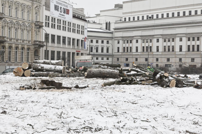 Rzeź drzew w parku w centrum Warszawy. Przygnębiający widok przed odbudową Pałacu Saskiego